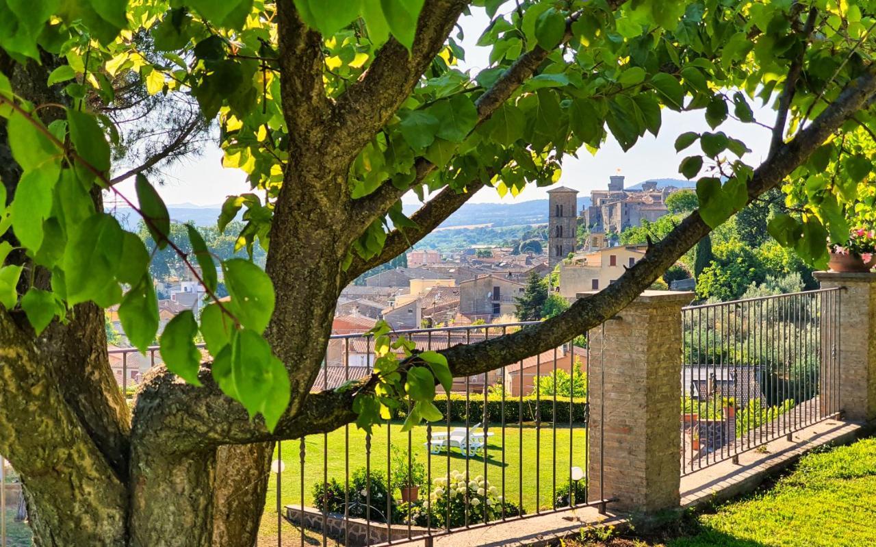 Agriturismo Le Vigne Bolsena Eksteriør bilde
